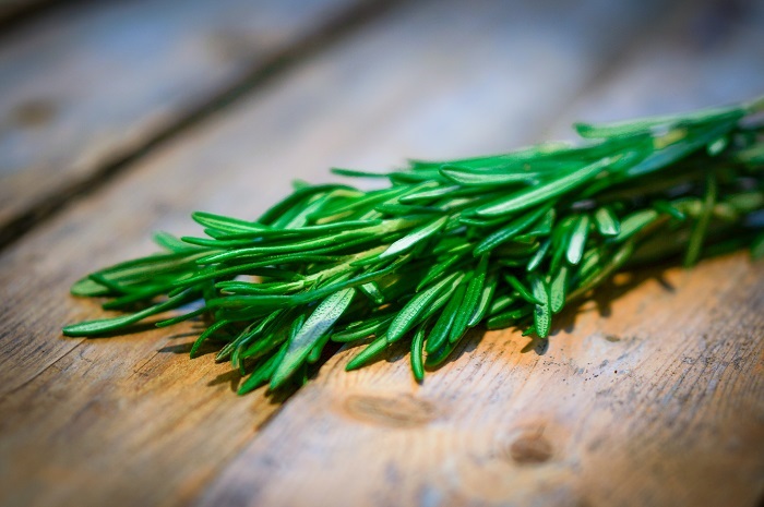 Rosemary Essential Oil: Mind and Body Benefits