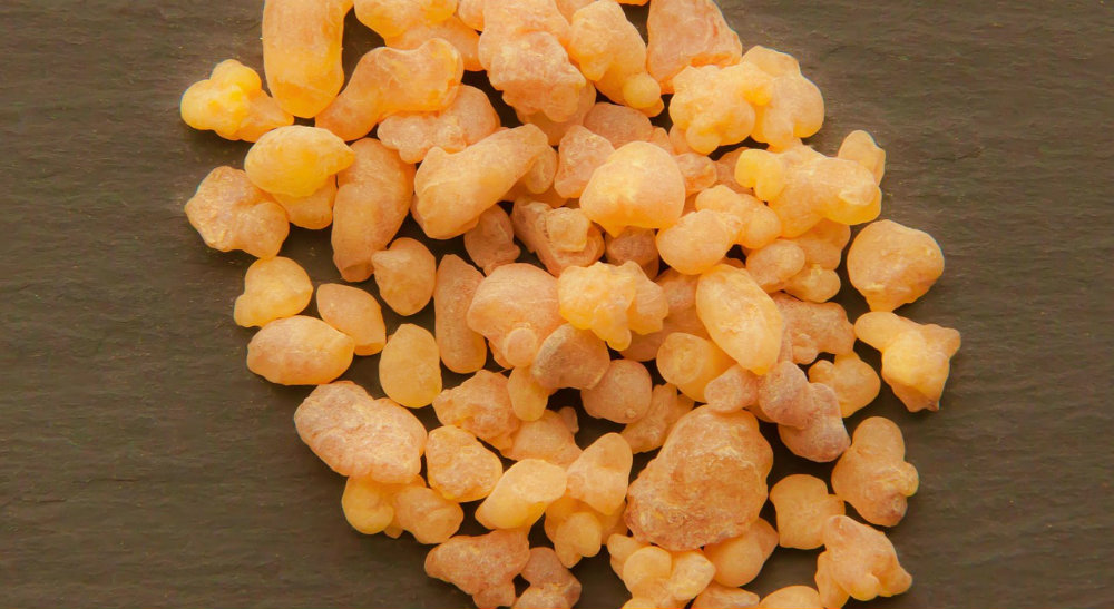 Frankincense Essential Oil: Mind and Body Benefits